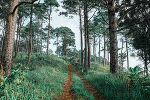 BIB: 
                            <button type="button" onclick="openModal(25652257)" class="btn btn-primary btn-sm float-right btn-popup" data-toggle="modal" data-target=".modal-high-quality">
                        <i class="fas fa-shopping-cart"></i> Add to Cart
                    </button>
                                            <button type="button" onclick="isThisMe(25652257, true)" class="btn btn-success btn-sm float-right btn-popup btn-isme hidden" data-toggle="tooltip" data-placement="bottom" title="นี่คือรูปของคุณใช่ไหม คลิกที่นี่เพื่อเอาเข้าอัลบั้ม">
                        <i class="fas fa-plus"></i> Add to album
                    </button>
                    <button type="button" onclick="isThisMe(25652257, false)" class="btn btn-warning btn-sm float-right btn-popup btn-isnotme hidden">
                        <i class="fas fa-ban"></i> Remove from album
                    </button>